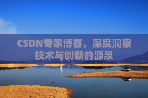 CSDN专家博客，深度洞察技术与创新的源泉